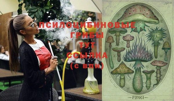 MESCALINE Аркадак